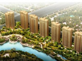 ����õ����