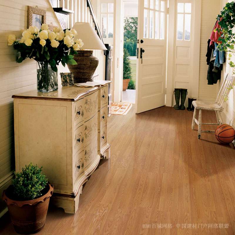 ʥ��ذ�̨��ר����