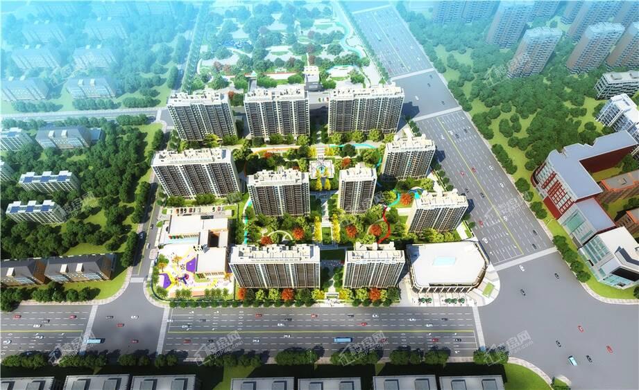 �Ͼ����������