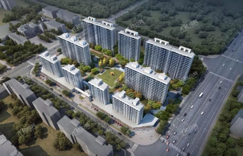 ��̩������ѧ��